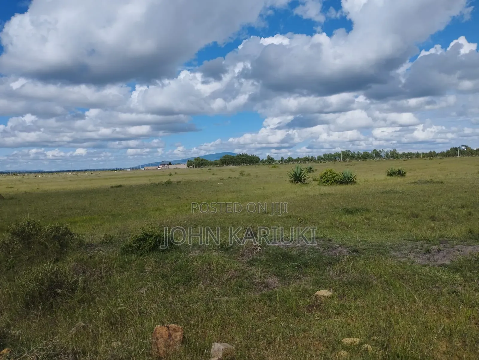 100 Acres Prime Land in Juja-Kiambu in Gate B