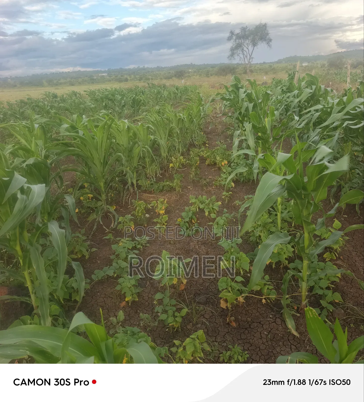 16 Acres Land for Sale in Loitoktok
