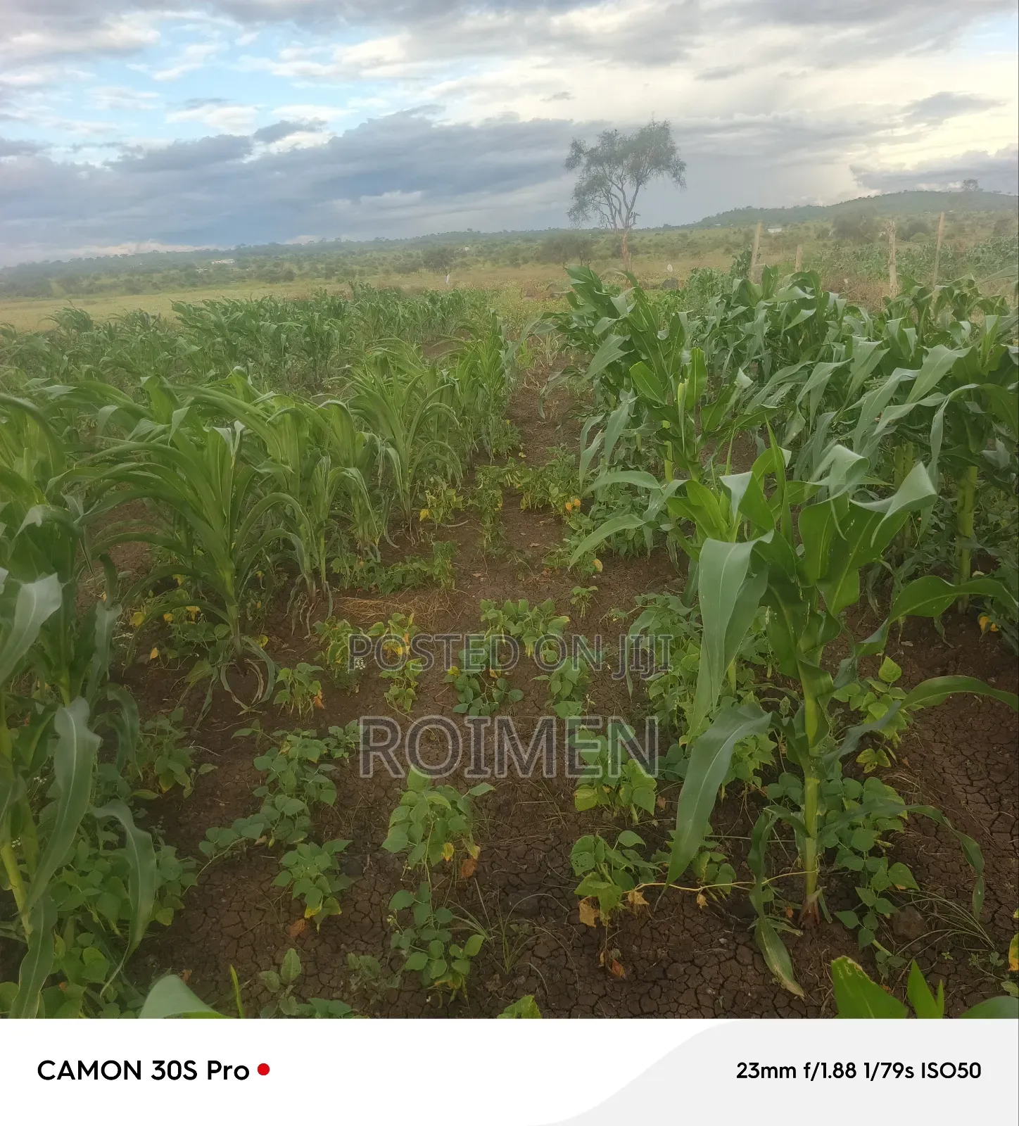 16 Acres Land for Sale in Loitoktok
