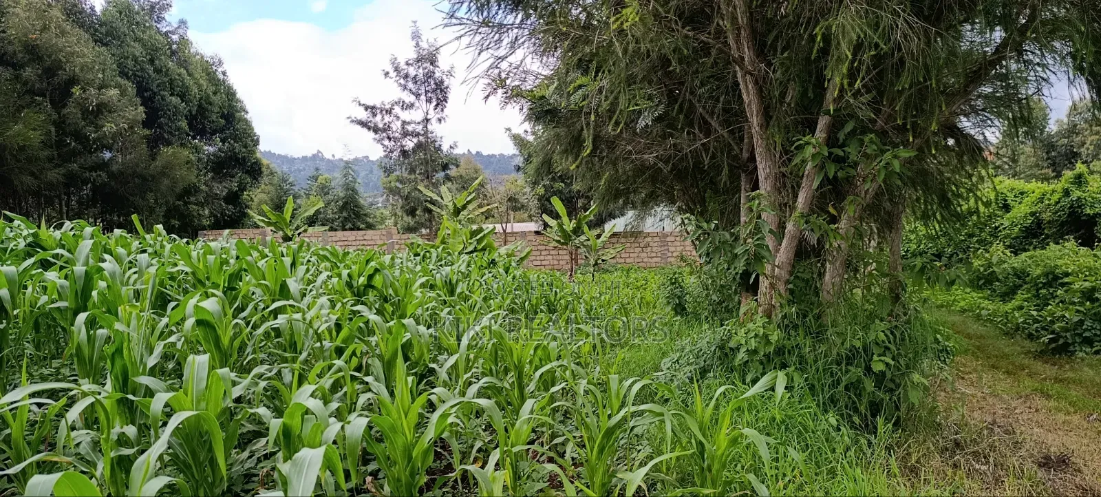 Plot for Sale in Kikuyu Kerwa (Ready Title Deed) in Kikuyu