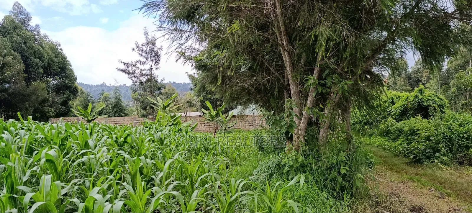 Plot for Sale in Kikuyu Kerwa (Ready Title Deed) in Kikuyu