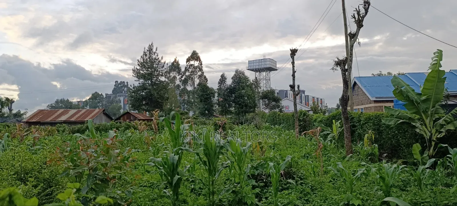 Rironi Tilisi Prime Plots in Kikuyu