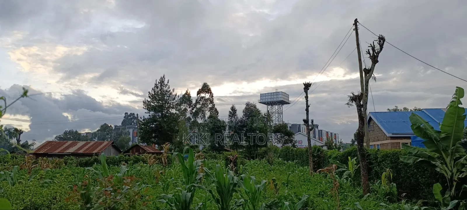 Rironi Tilisi Prime Plots in Kikuyu