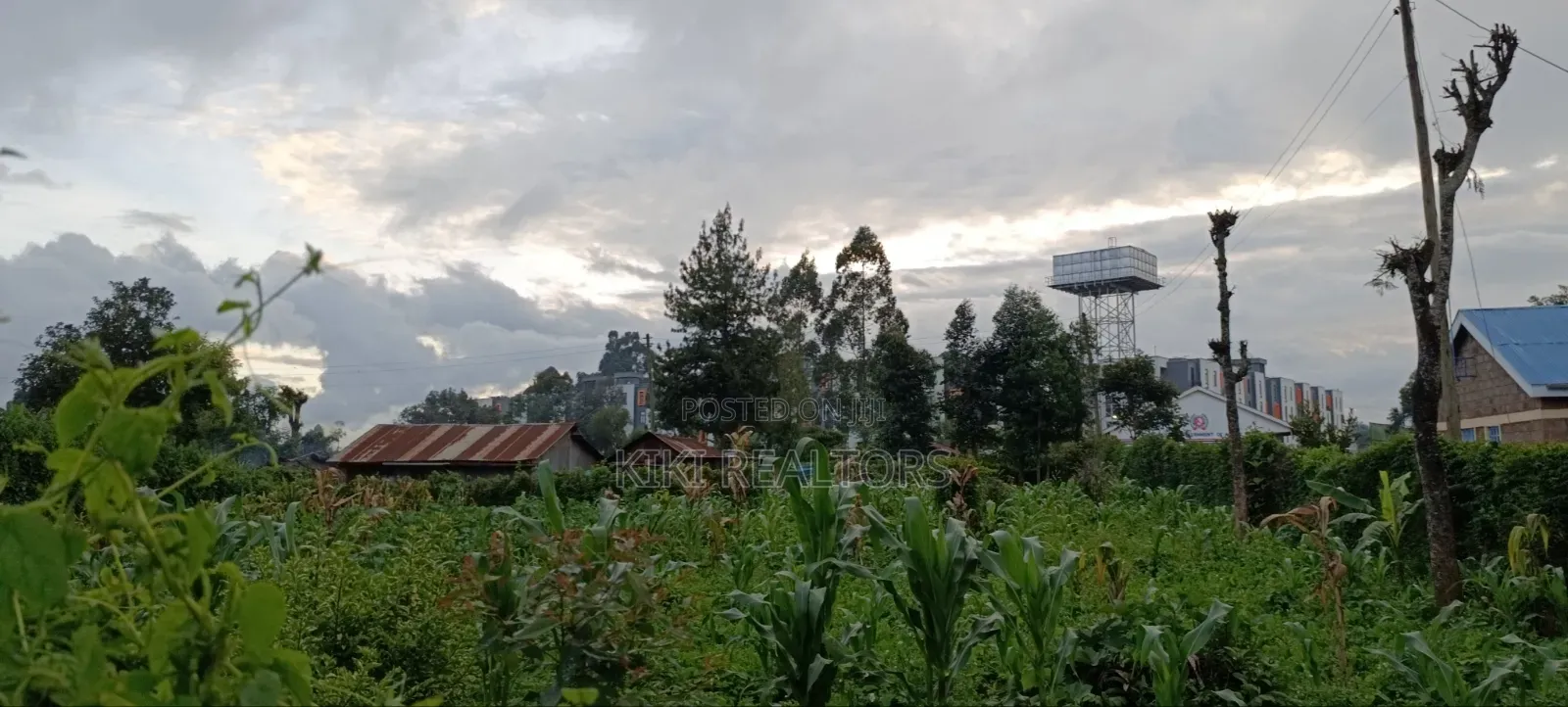 Rironi Tilisi Prime Plots in Kikuyu