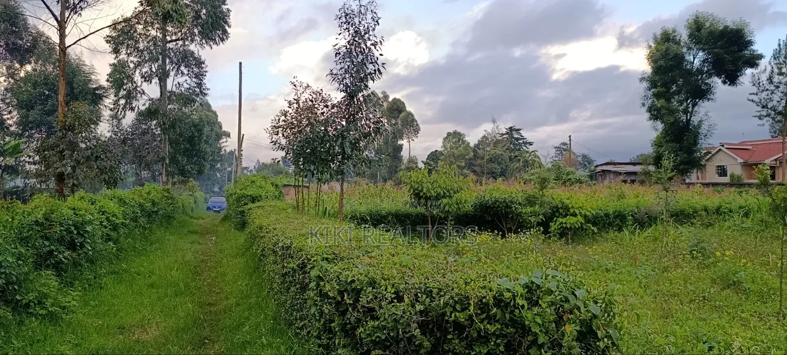 Rironi Tilisi Prime Plots in Kikuyu