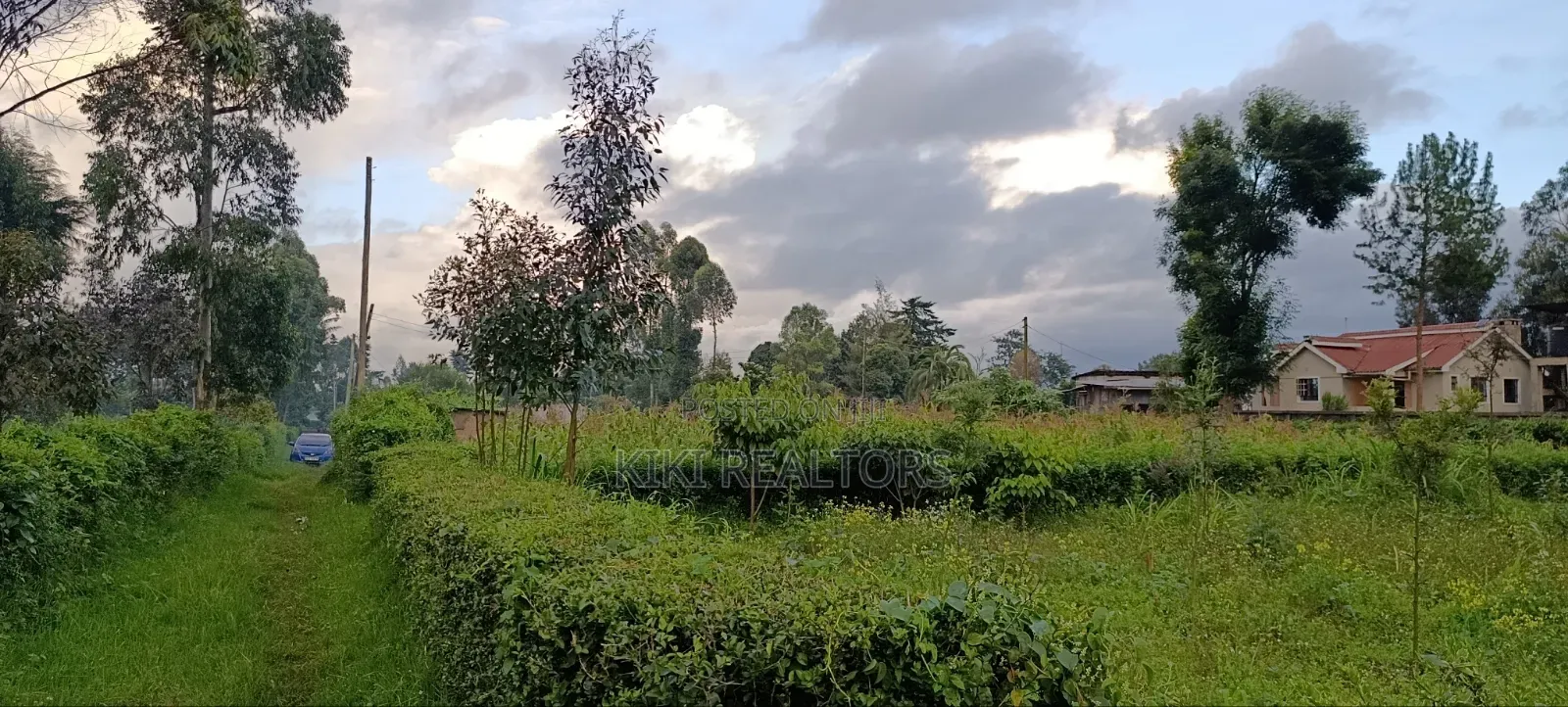 Rironi Tilisi Prime Plots in Kikuyu