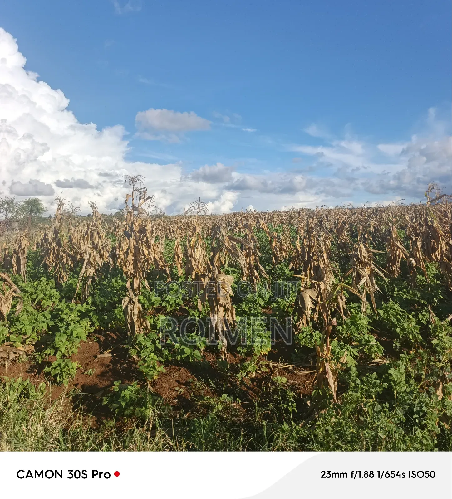 3 Acres of Land Available for Sale in Loitoktok