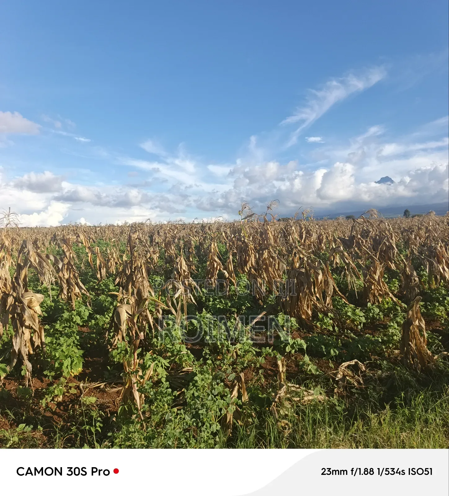 3 Acres of Land Available for Sale in Loitoktok