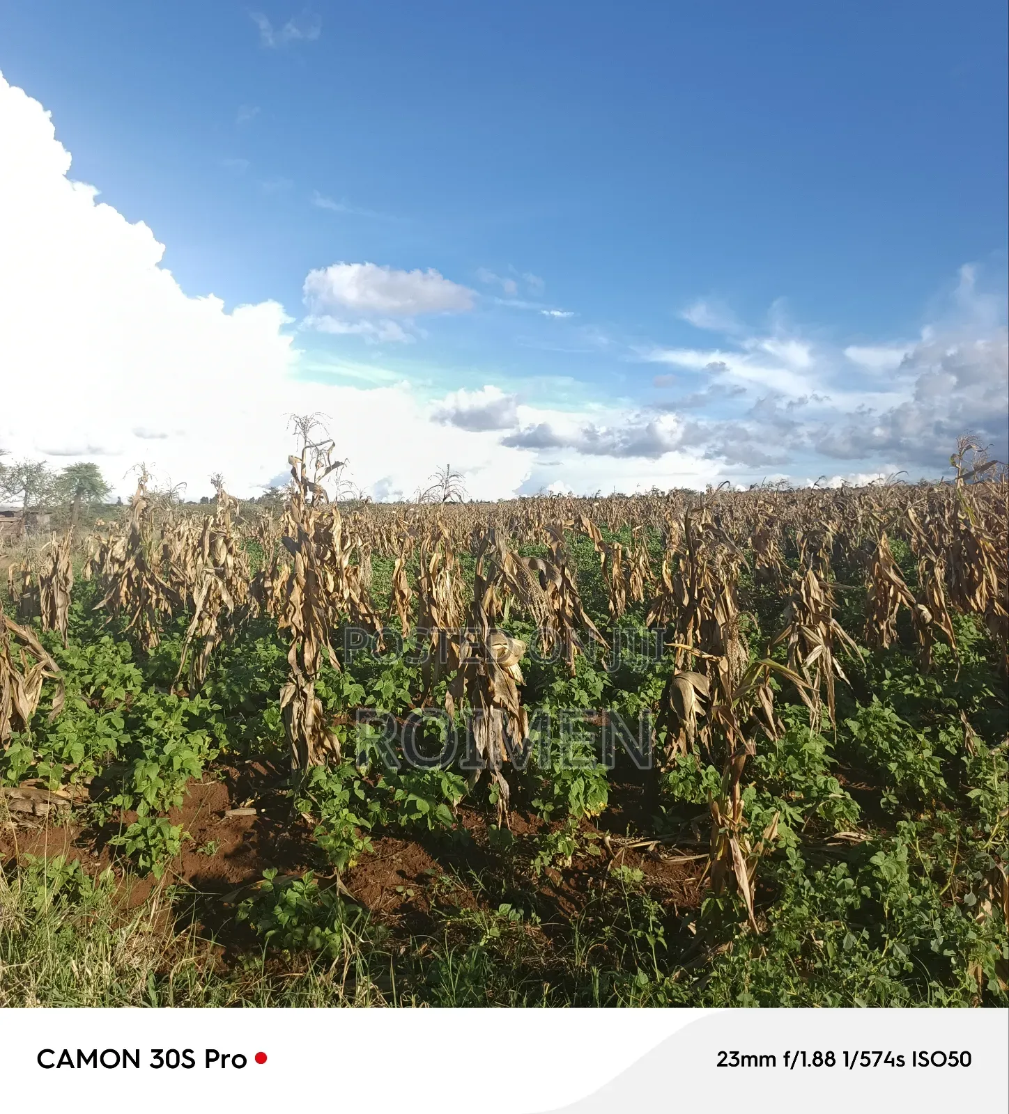 3 Acres of Land Available for Sale in Loitoktok