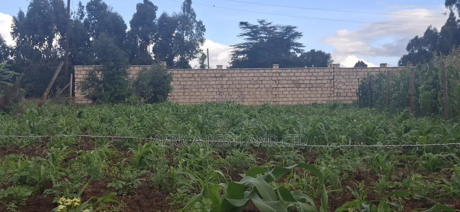 Prime Residential Plots for Sale – Kikuyu Ng’Amba, Kiambu County in Kikuyu