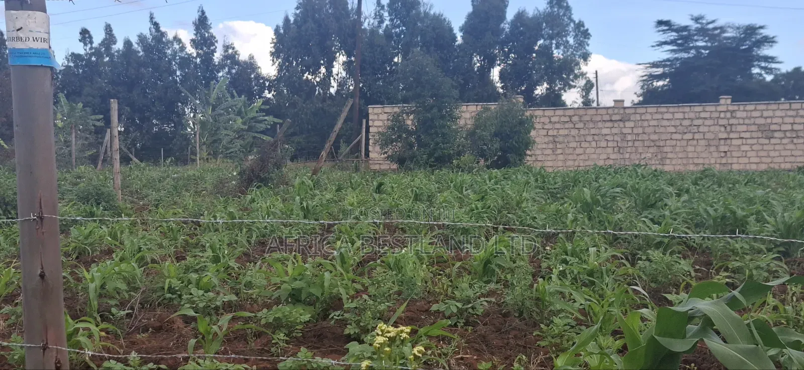 Prime Residential Plots for Sale – Kikuyu Ng’Amba, Kiambu County in Kikuyu