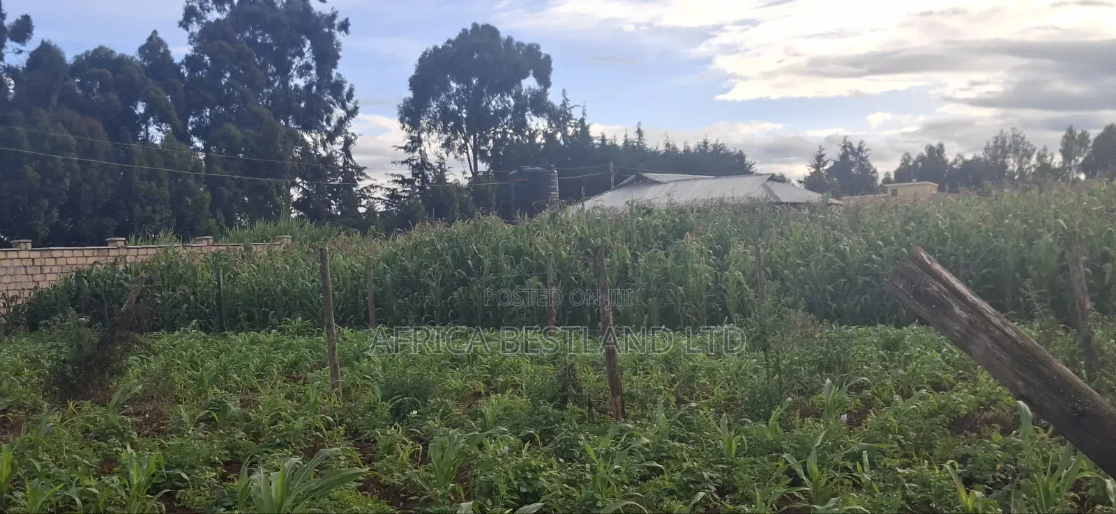 Prime Residential Plots for Sale – Kikuyu Ng’Amba, Kiambu County in Kikuyu
