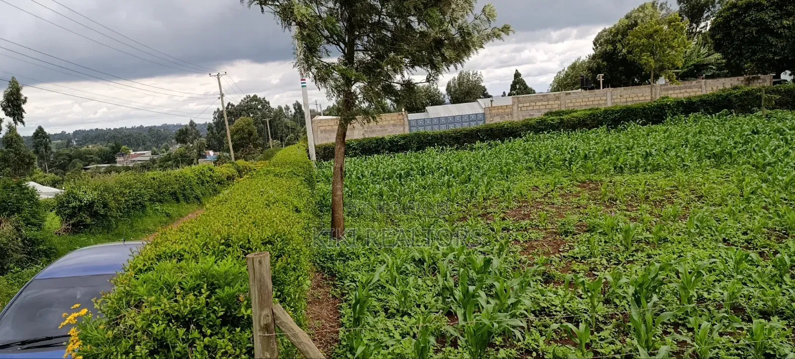 Prime Residential Plots in Kikuyu Sigona Ward Thamanda in Kikuyu