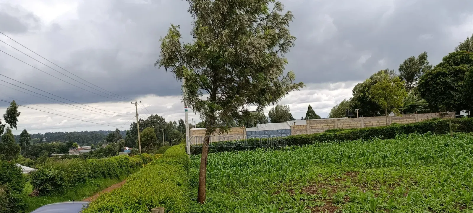 Prime Residential Plots in Kikuyu Sigona Ward Thamanda in Kikuyu