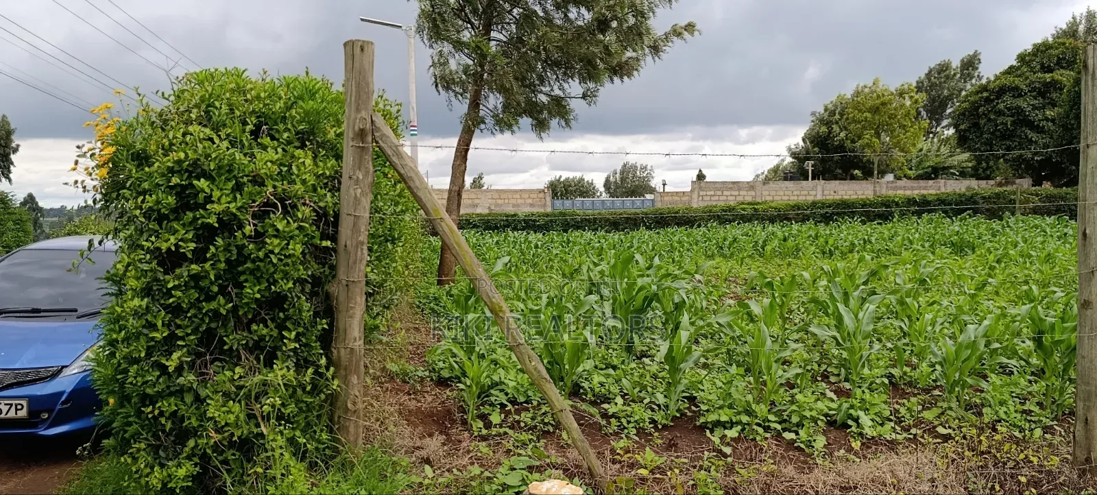 Prime Residential Plots in Kikuyu Sigona Ward Thamanda in Kikuyu
