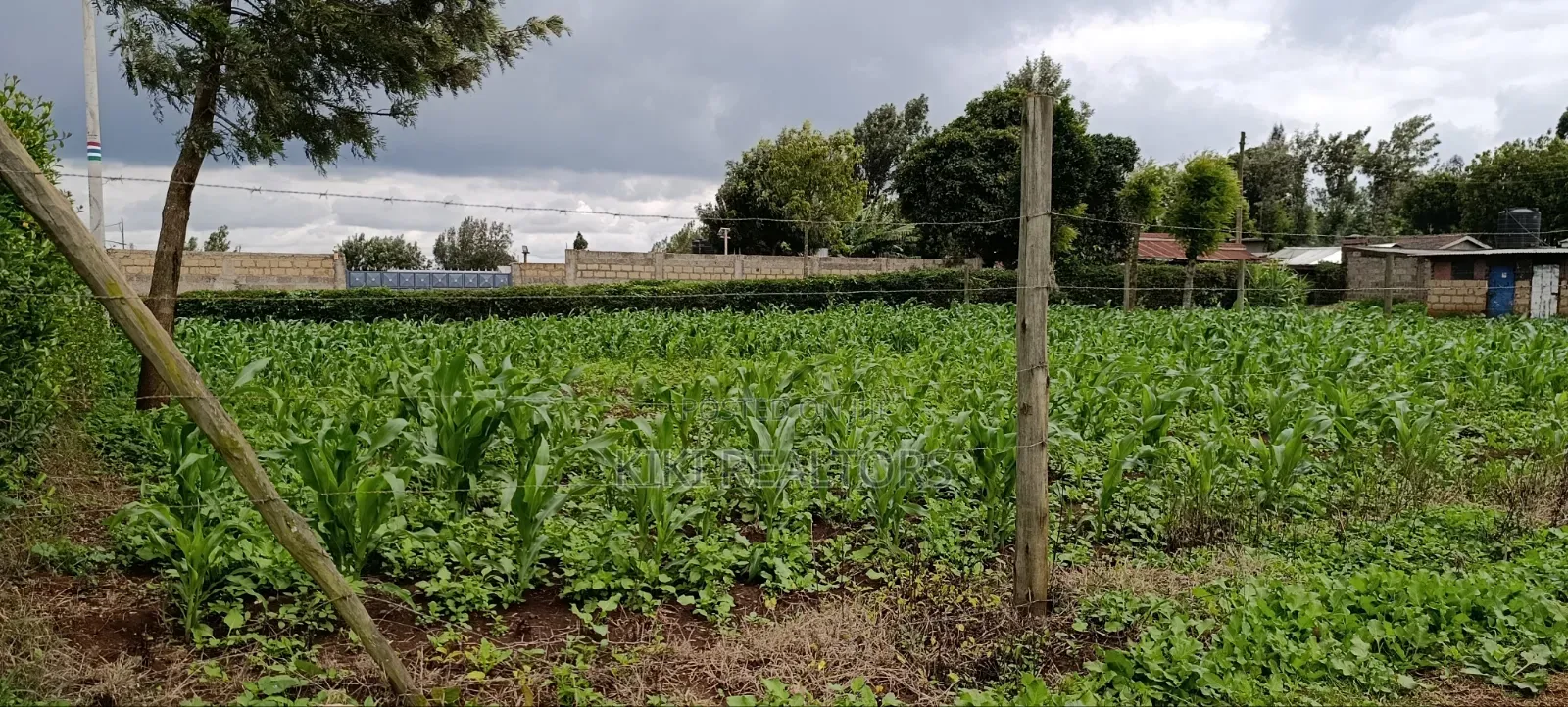 Prime Residential Plots in Kikuyu Sigona Ward Thamanda in Kikuyu