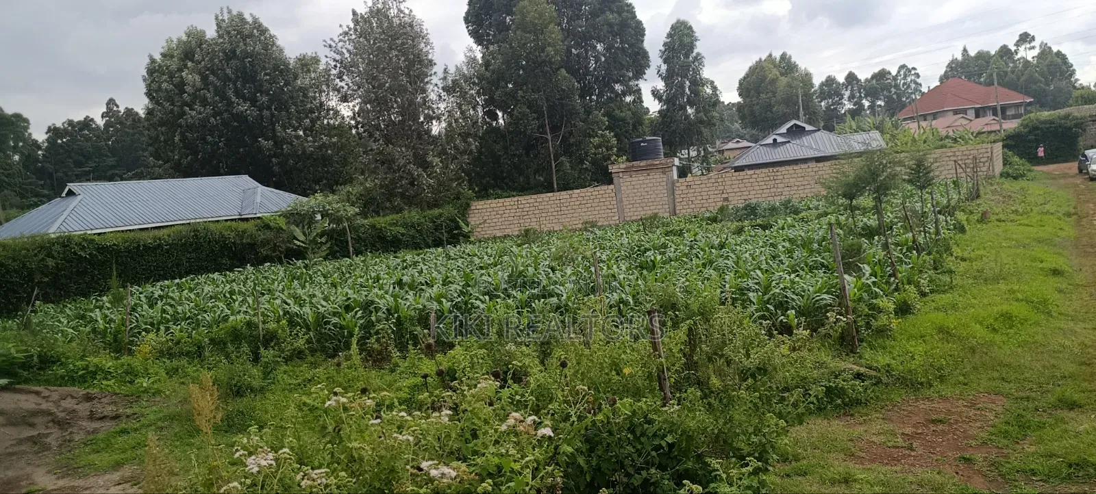 Plots for Sale in Kikuyu Sigona Kerwa in Kikuyu