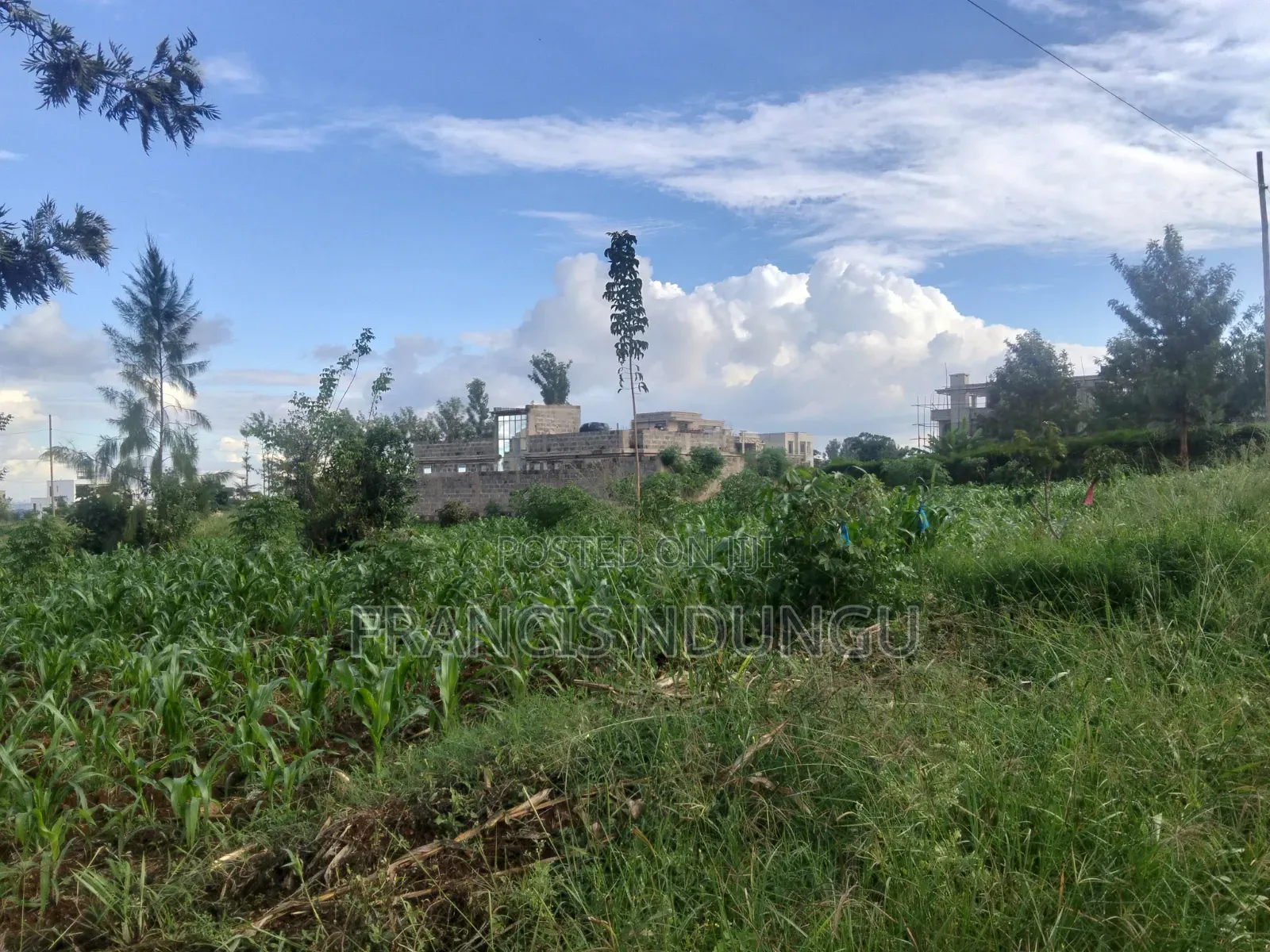 Kiambu Town Gated Estate Plots for Sale. in Riabai