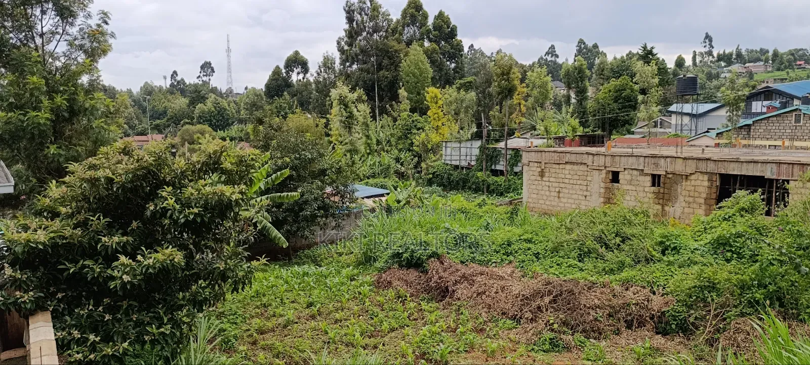 Kikuyu Plots for Sale Sigona(100x100fts) in Kikuyu
