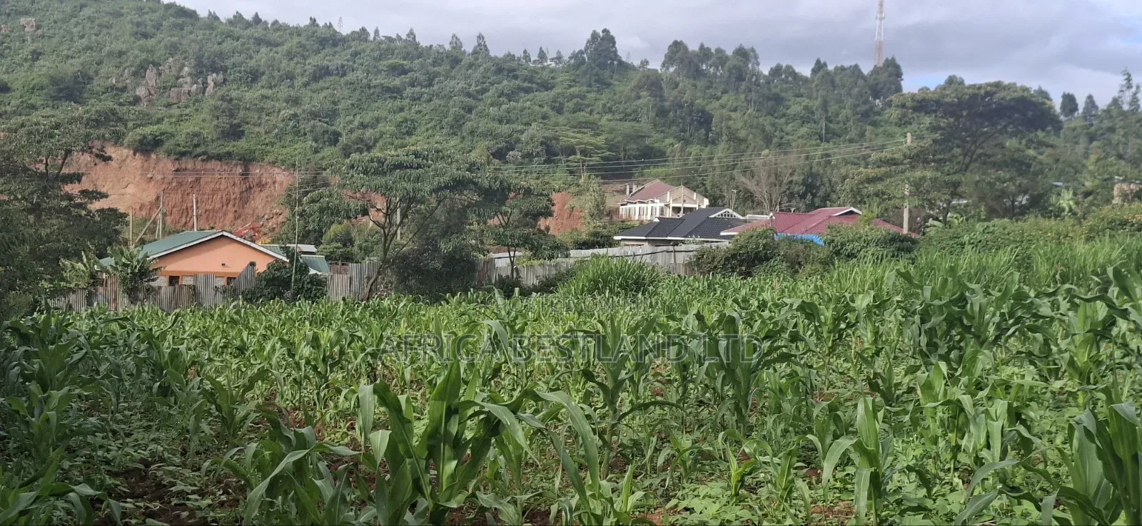 100x100 Plot for Sale – Kikuyu Lusigetti, Kiambu County | KSH 3.8m in Kikuyu