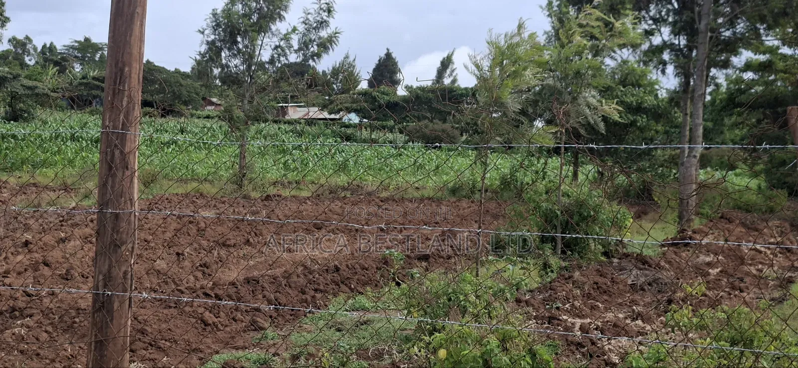 100x100 Plot for Sale – Kikuyu Lusigetti, Kiambu County | KSH 3.8m in Kikuyu