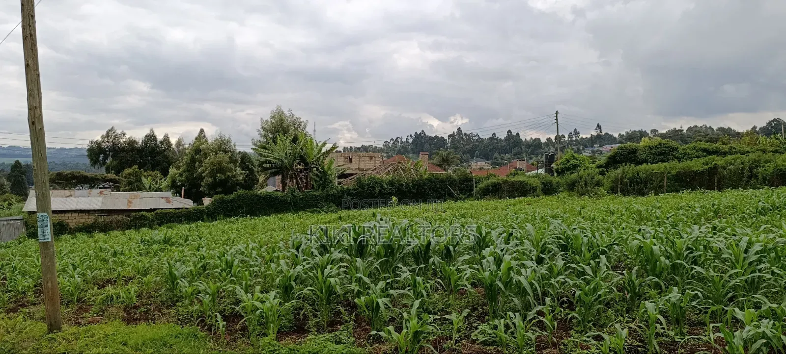 Kikuyu Sigona Prime Plots for Sale in Kikuyu
