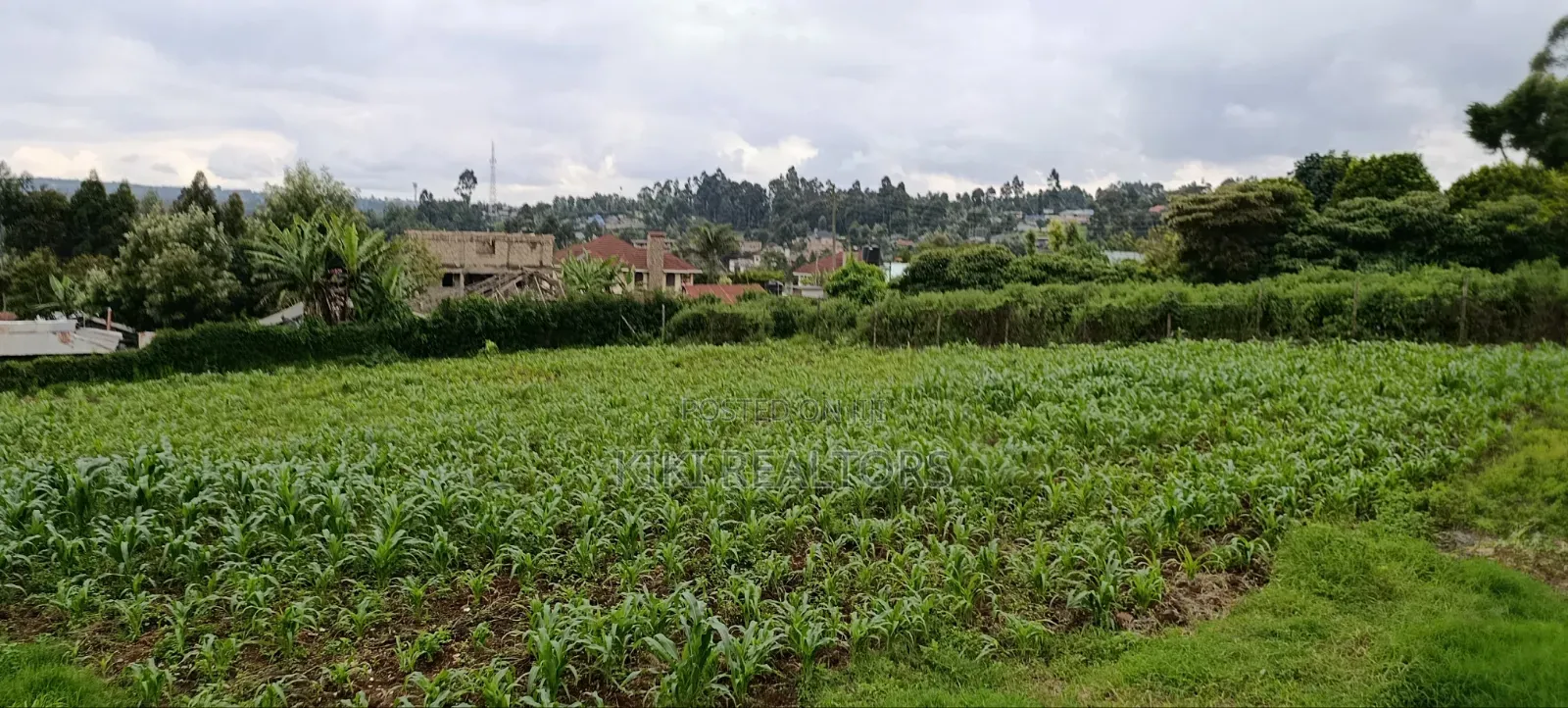 Kikuyu Sigona Prime Plots for Sale in Kikuyu