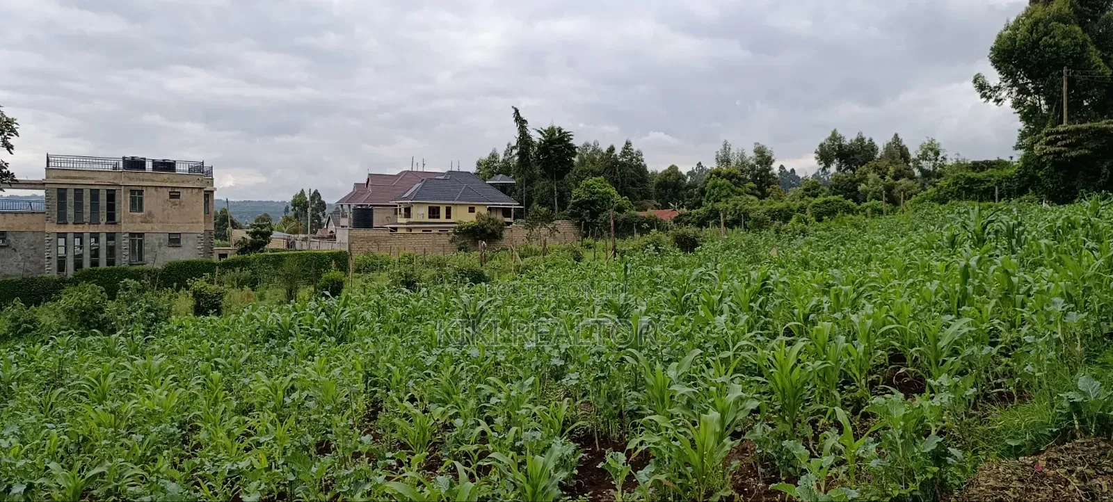 Kikuyu Sigona Prime Plots for Sale in Kikuyu