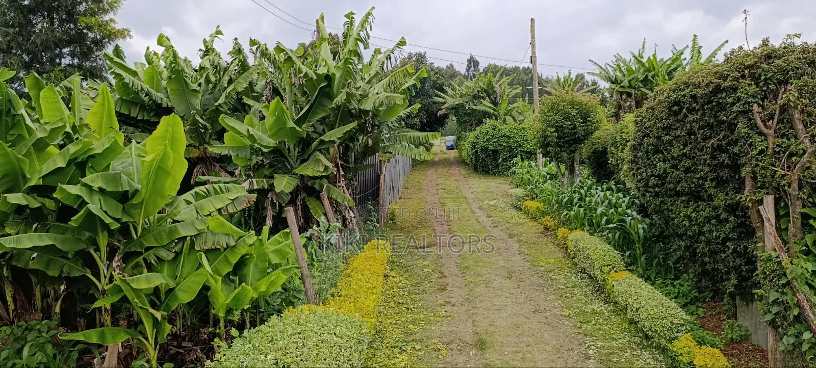 Prime Residential Plots in Kikuyu Sigona in Kikuyu