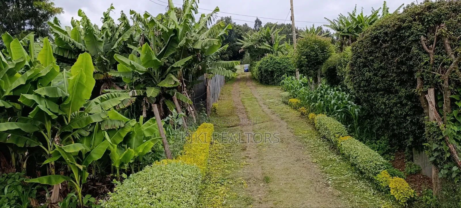 Prime Residential Plots in Kikuyu Sigona in Kikuyu