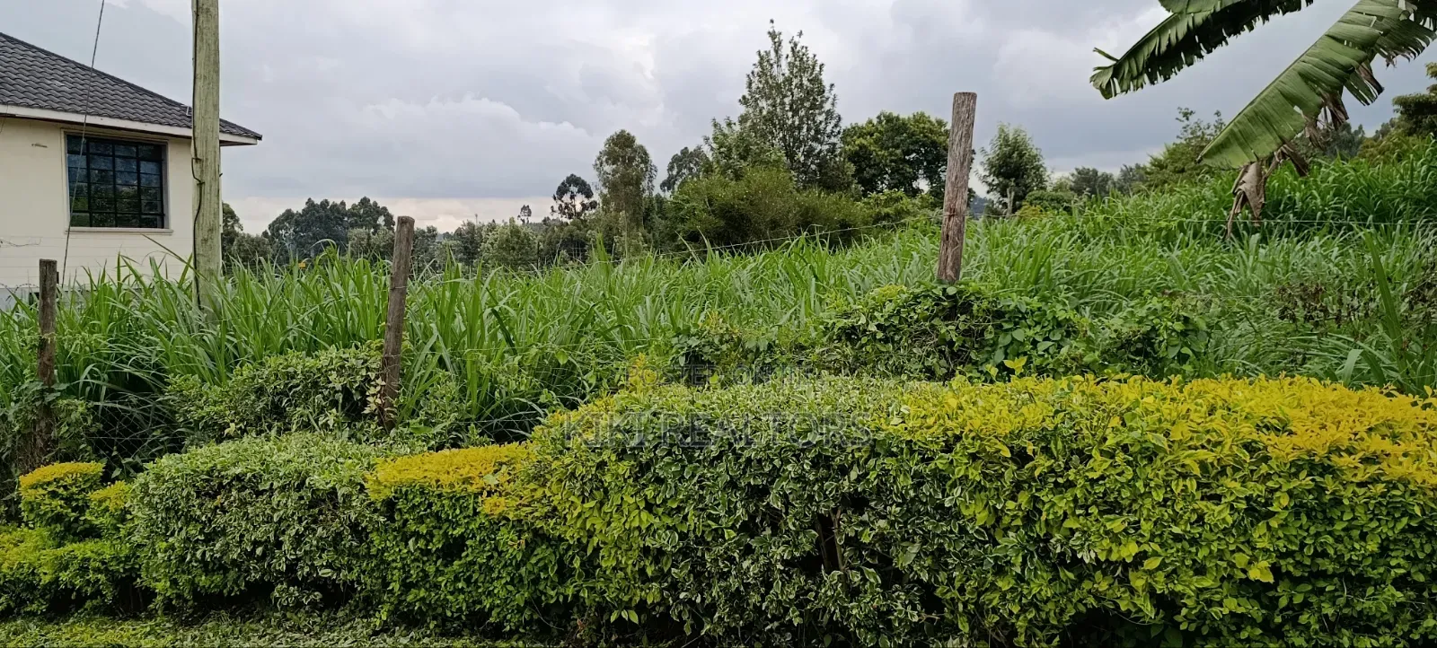 Prime Residential Plots in Kikuyu Sigona in Kikuyu