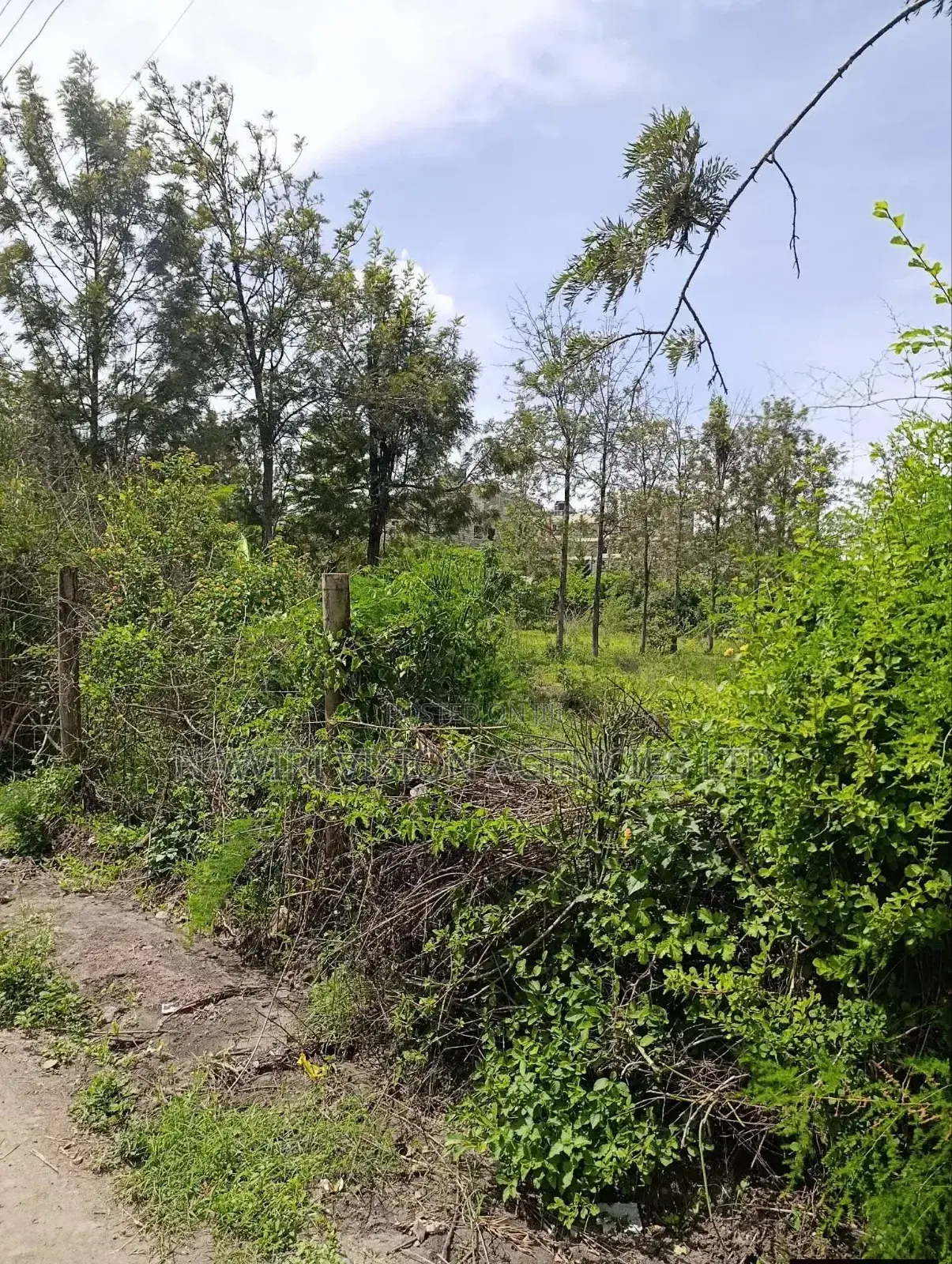 Prime One Acre for Sale in Kamulu 1km From Kangundo Road in Kamulu