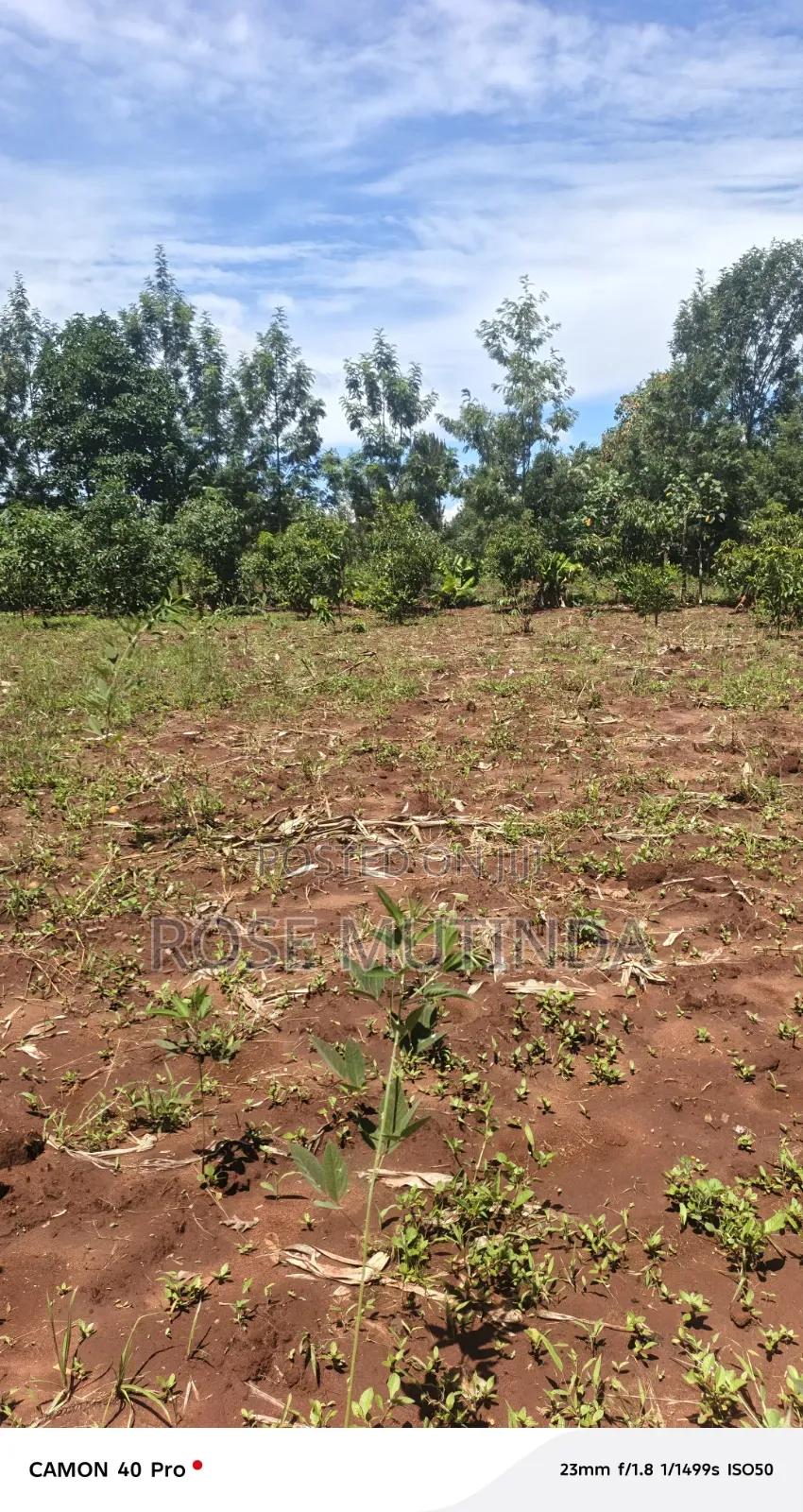 3guater an Acre at Tala in Tala