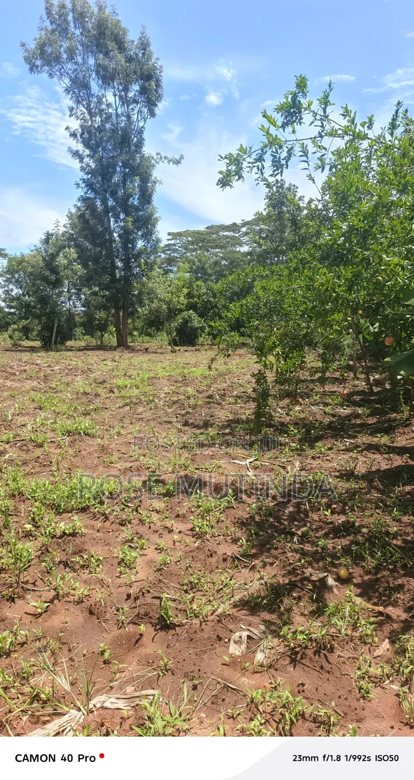 3guater an Acre at Tala in Tala