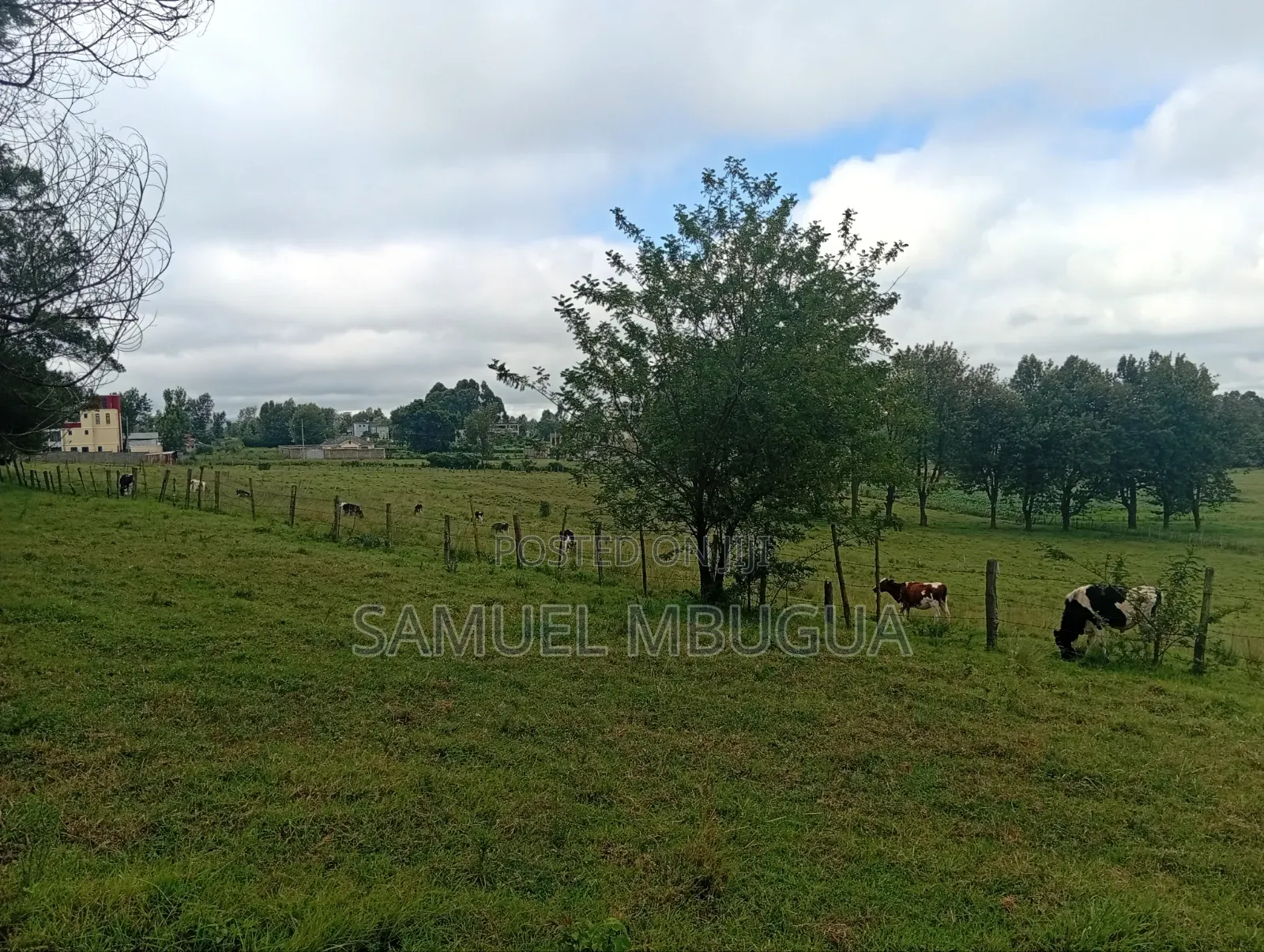 Land for Sale in Prime Karen in Karen C