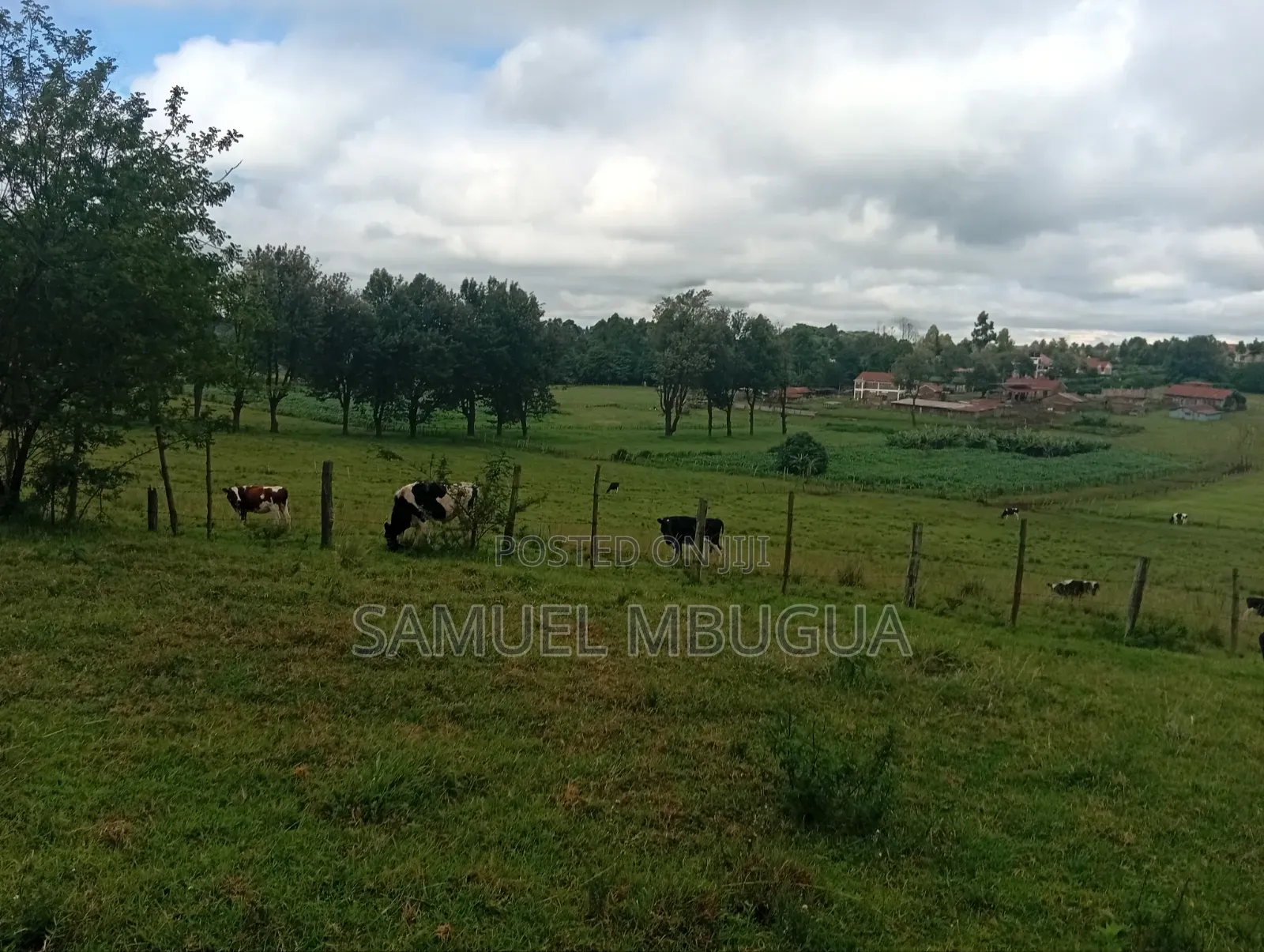 Land for Sale in Prime Karen in Karen C