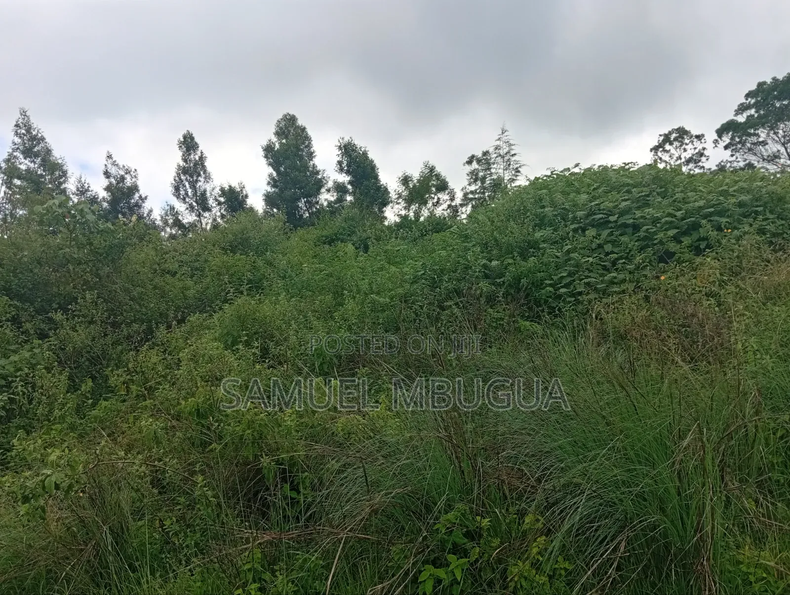 Land for Sale in Prime Karen in Karen C