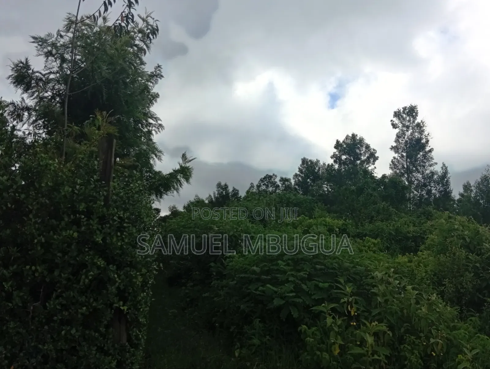 Land for Sale in Prime Karen in Karen C