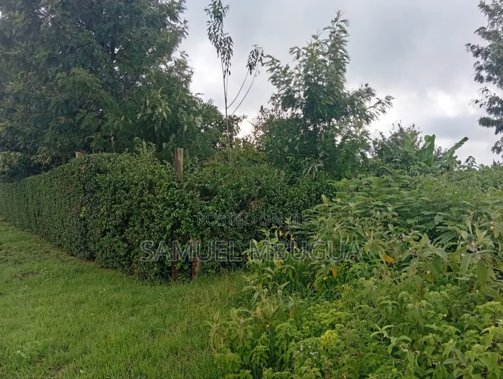 Land for Sale in Prime Karen in Karen C