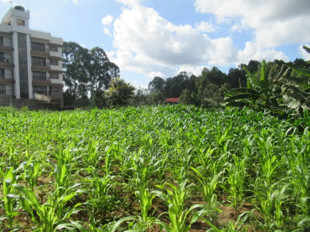 1-Acre Plot for Sale in Thindigua in Thindigua/Kasarini