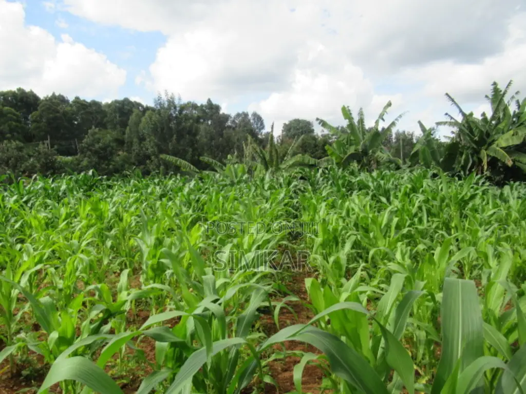1-Acre Plot for Sale in Thindigua in Thindigua/Kasarini