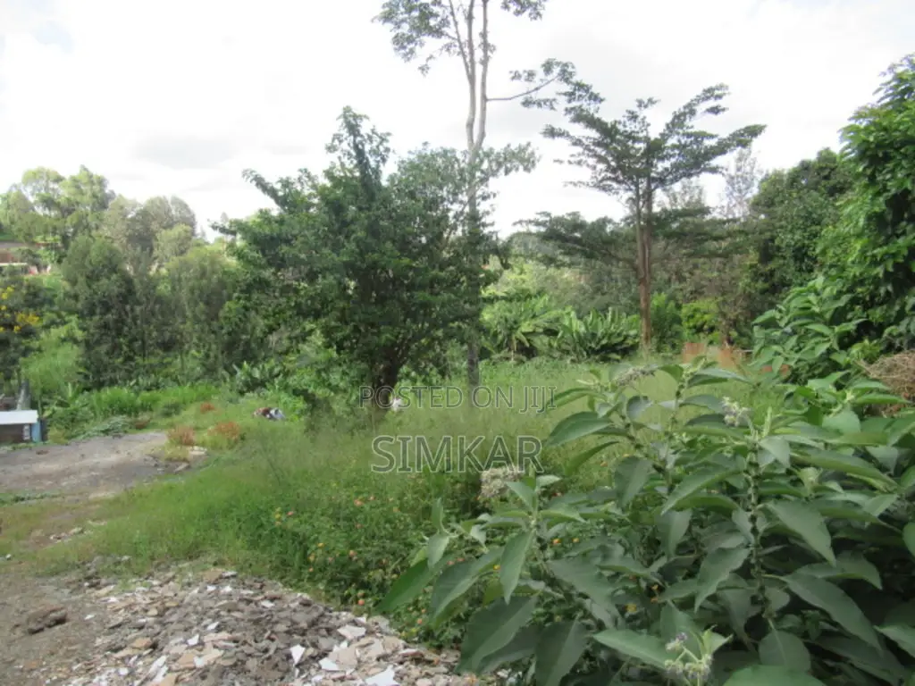 1-Acre Plot for Sale in Thindigua in Thindigua/Kasarini