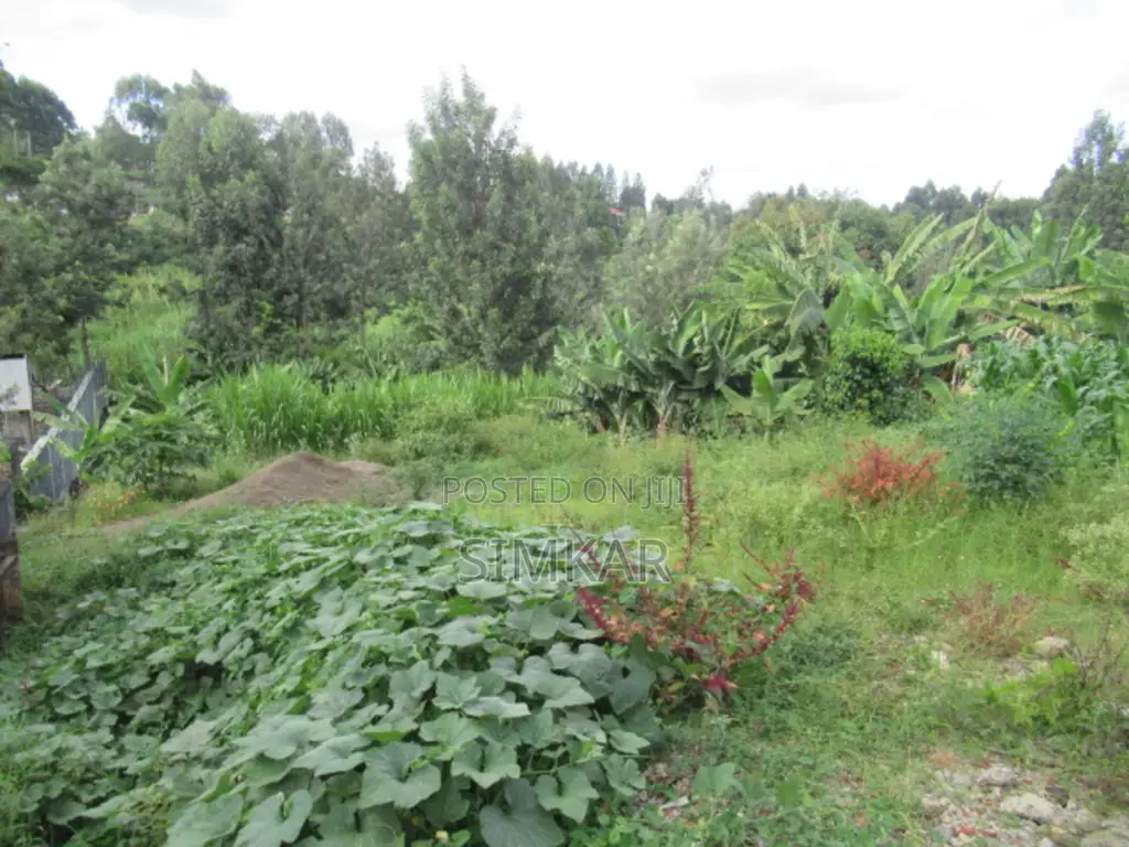 1-Acre Plot for Sale in Thindigua in Thindigua/Kasarini