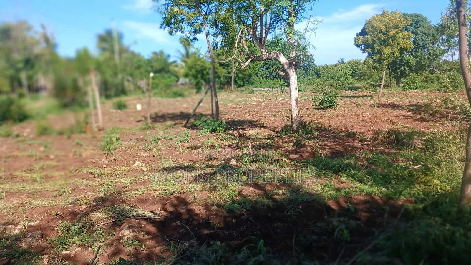 1 Acre of Land in Shanzu