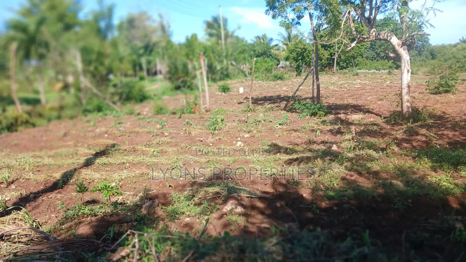 1 Acre of Land in Shanzu