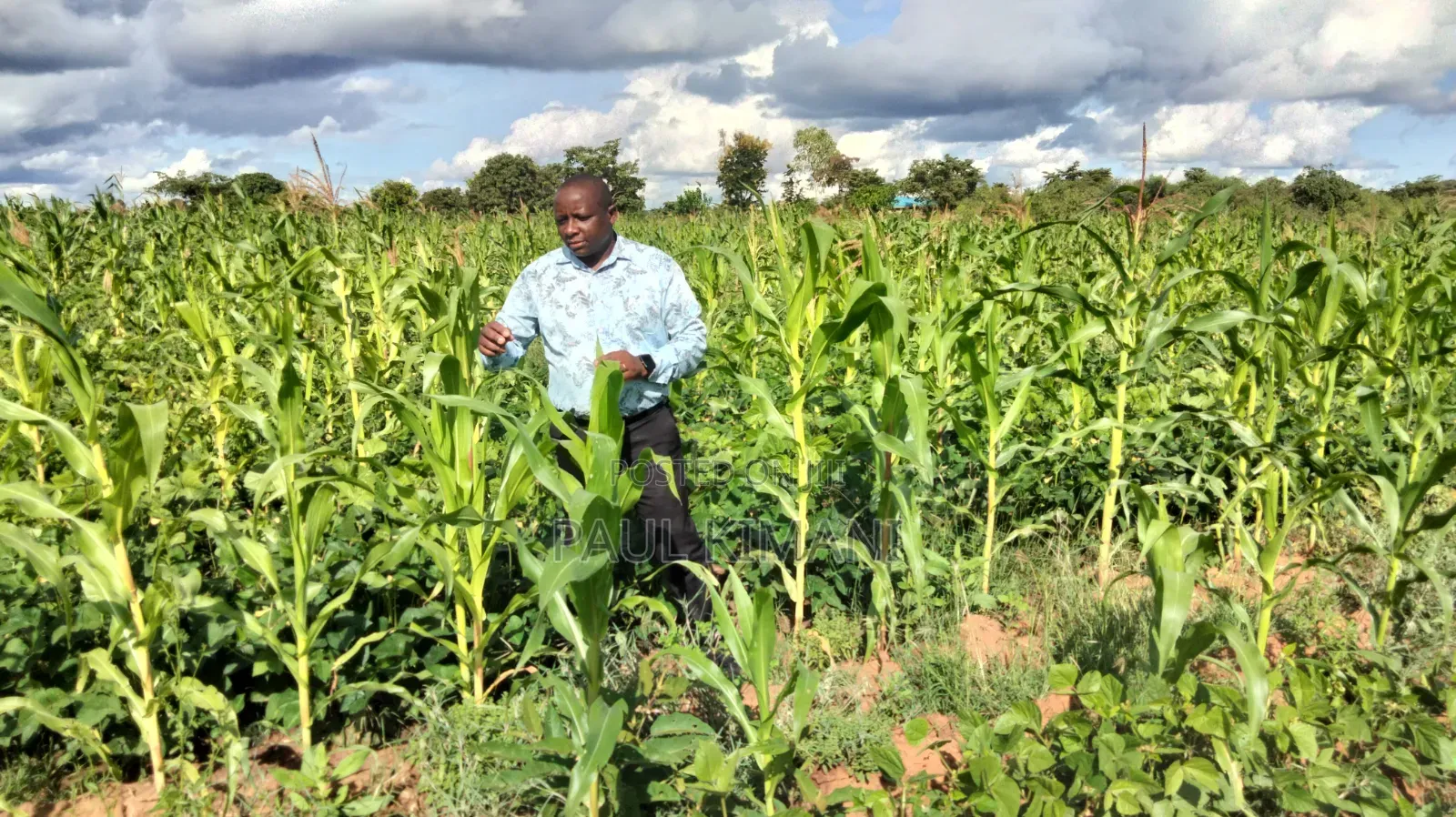 Matuu Kavwea Town Plots in Masinga Central