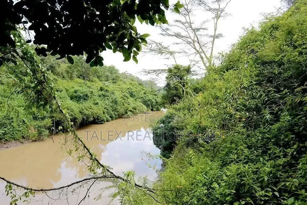 Own 1,760-Acre Kenyan Eden — Where the Soul Remembers How to Breathe in Lake View