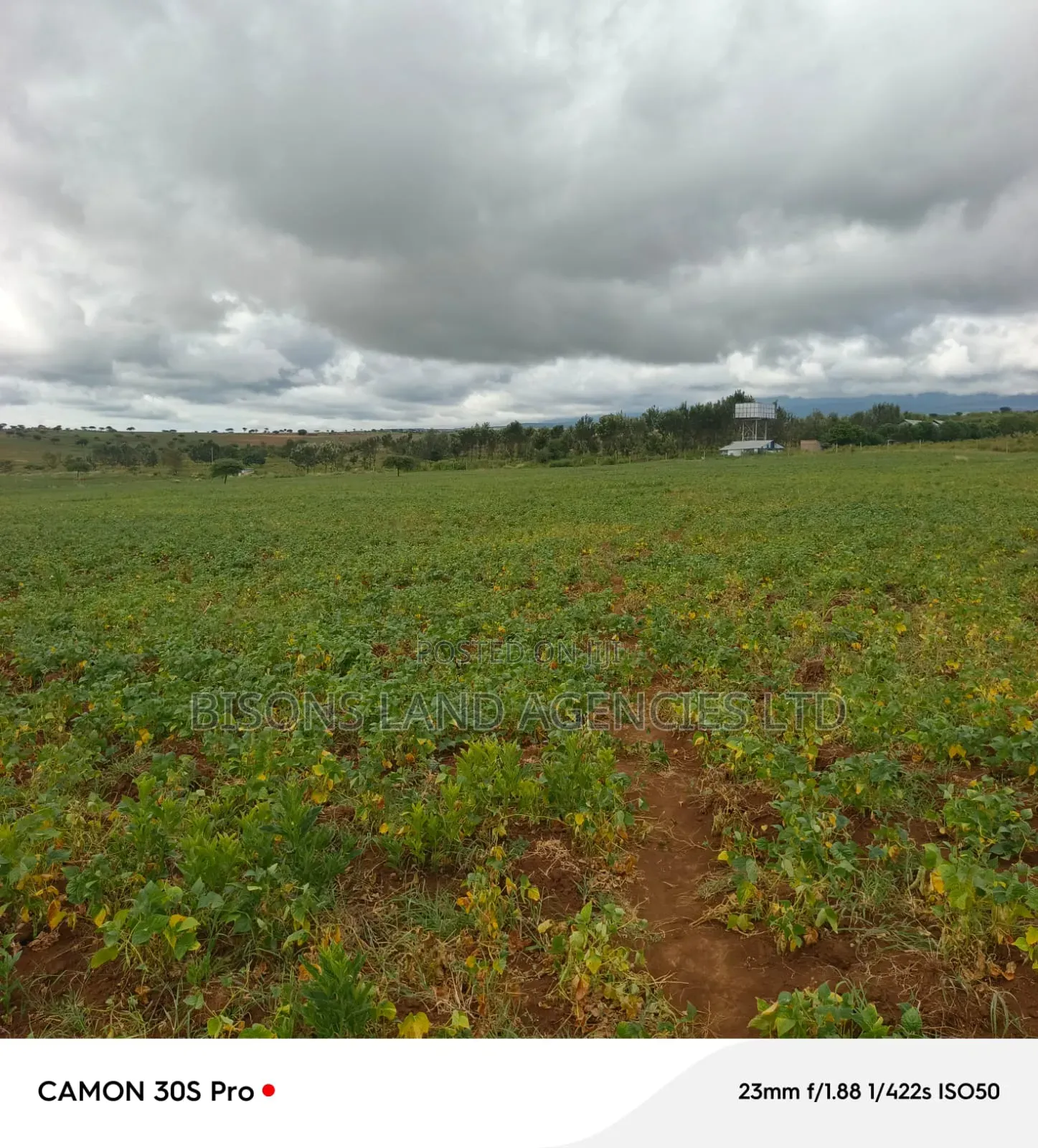 Available 21acre Land for Sale in Kajiado County at Loitoktok in Loitoktok