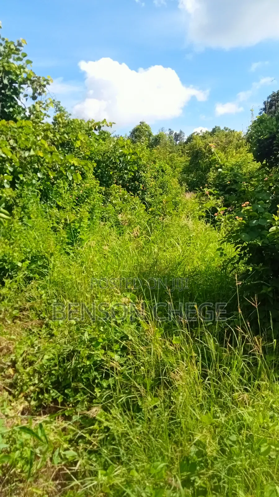 1.5 Acre for Sale in Maragua Ridge in Kambiti