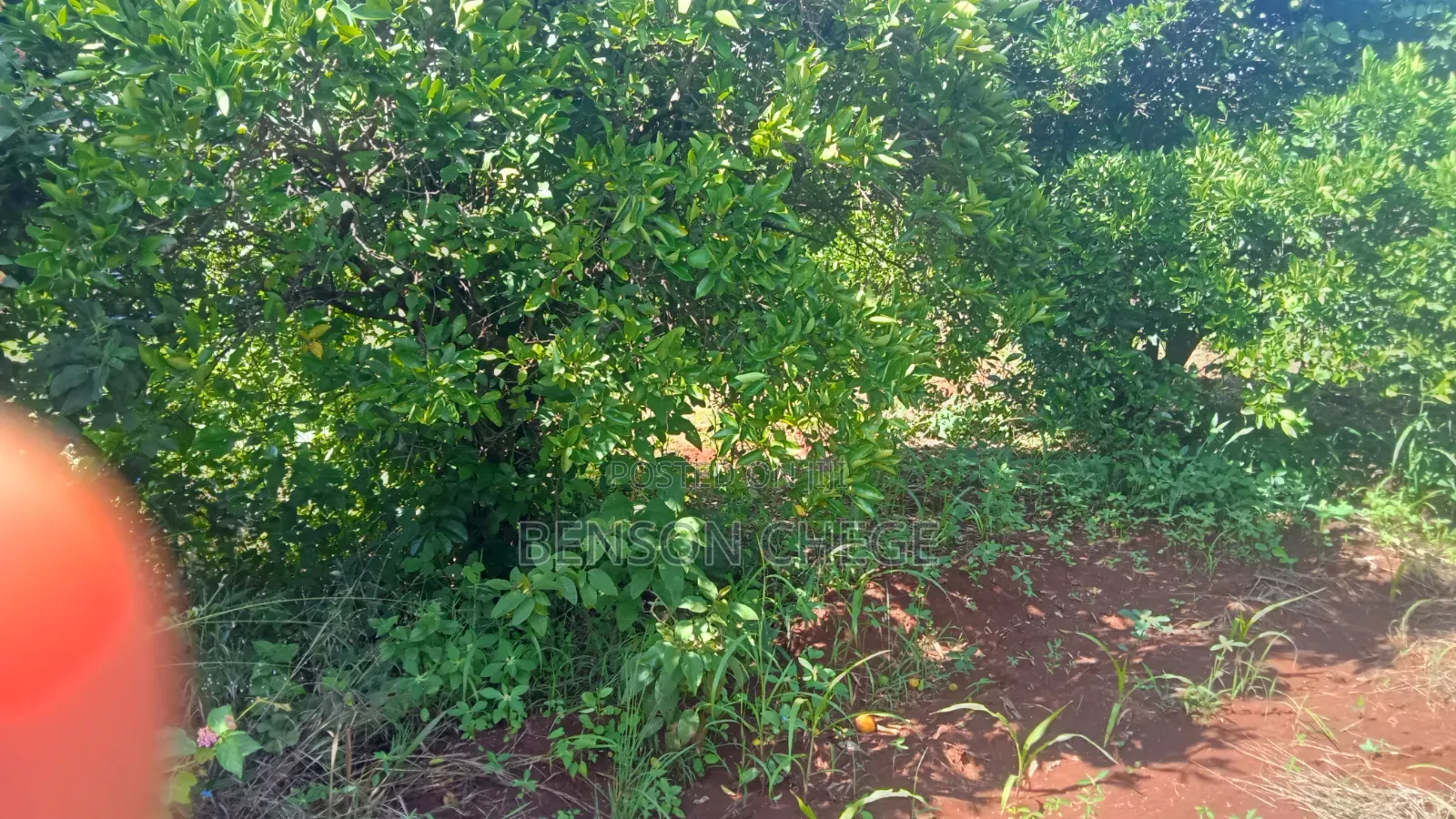 1.5 Acre for Sale in Maragua Ridge in Kambiti